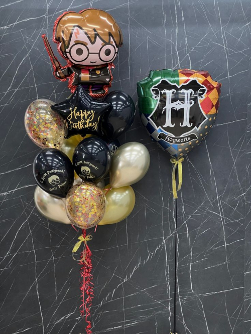 Композиция «Гарри в Хогвартсе»